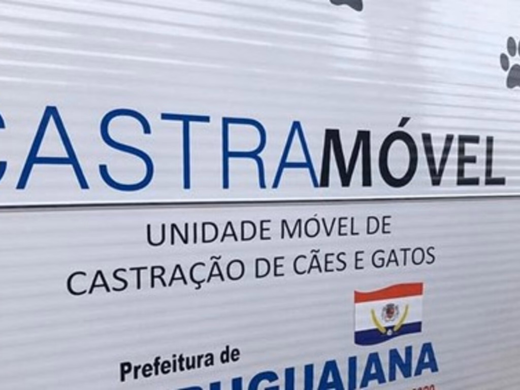 Castramóvel realizou mais de 300 castrações neste ano