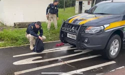 Maria da Penha movimenta ‘manhã’ da Brigada Militar