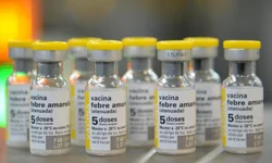 Município chega a 50 casos de dengue