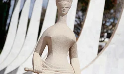 Vereadores discutem projetos de lei na Câmara Municipal