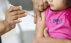 Intervalo de aplicação diminui para cinco meses