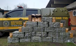 BM apreende produtos veterinários nas margens do Rio