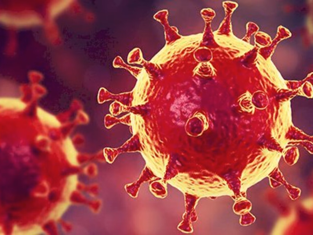 Cientistas identificam anticorpo capaz de bloquear o Coronavírus