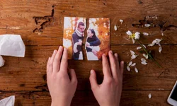 Profissionais esclarecem dúvidas sobre castração de animais