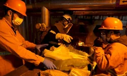 Festa clandestina com 97 pessoas é encerrada no Centro