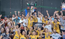 B3 realiza 75 leilões em 2025 e alcança marca histórica