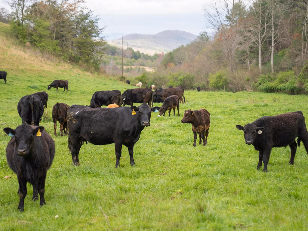 Prazo para entrega do ITR começa dia 11 de agosto