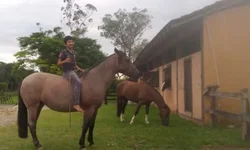 Prefeitura pede ações para coibir entrada ilegal pela Ponte