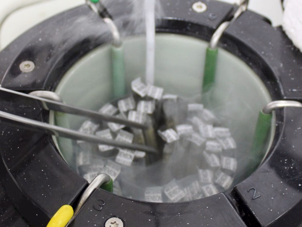 1º Semestre tem crescimento de 31% do mercado de IA em bovinos