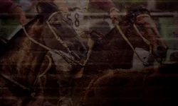 Criadores debatem rumos da produção de carne de qualidade