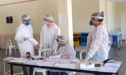 Pl obriga agressores de animais a pagar por tratamento veterinário