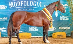 Corpo de Bombeiros realiza treinamento para operações aquáticas