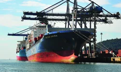 Prorrogado prazo para inscrição no programa de Sementes Forrageiras de inverno e verão