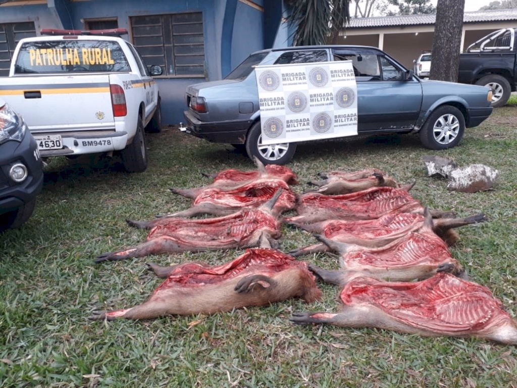 Brigada apreende dez capivaras em carro abandonado