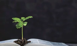 Unipampa abre 45 vagas para curso de Educação do Campo