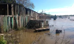 Rio Uruguai está recuando em Uruguaiana