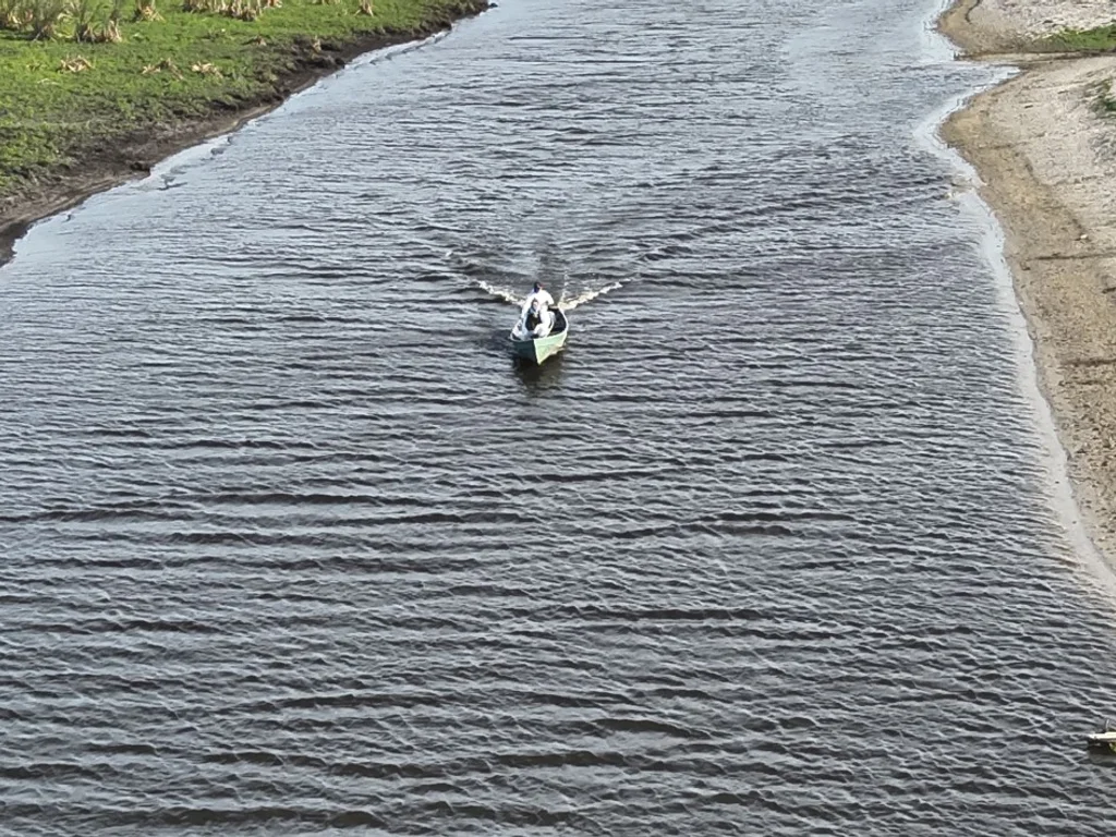 Encerrado foco de gripe aviária na Estação Ecológica do Taim