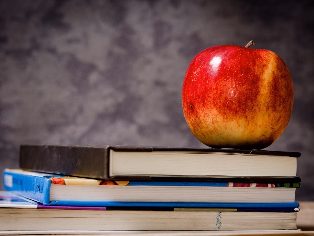 PL proíbe alimentos ultraprocessados na merenda escolar