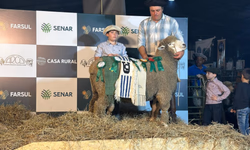 Abertura da Colheita do Arroz inicia programação nesta terça