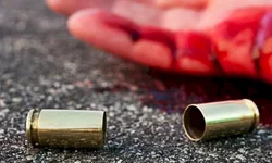 Susepe está sob novo comando