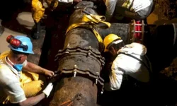 Diagnóstico revela redução da população de Uruguaiana