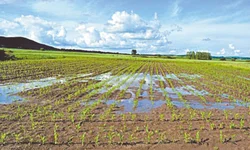 Programa Mais Comércio oferece aperfeiçoamento gratuito em Marketing Digital