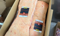 Conexão Delta G define reprodutores que irão compor bateria do Programa Touro Jovem