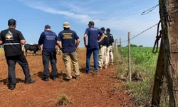 Registrado primeiro homicídio de 2022