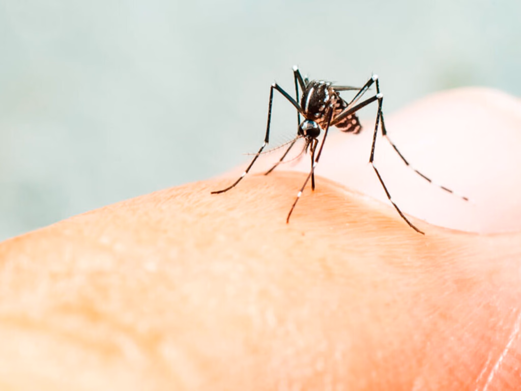 Município chega a 30 casos de dengue