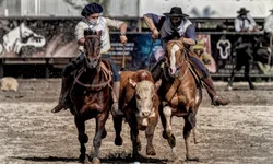 Clubes da Liga Gaúcha 3 decidem prorrogar competição para outubro