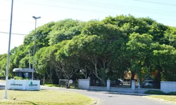 Unipampa oferta 145 vagas de graduação por meio do Sisu