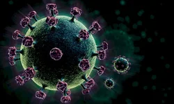 RS bate recorde de crianças registradas sem nome paterno