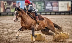 Freio Jovem encerra programação do Cavalo Crioulo na Expointer