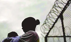 Golpes via redes sociais poderão ser considerados estelionato