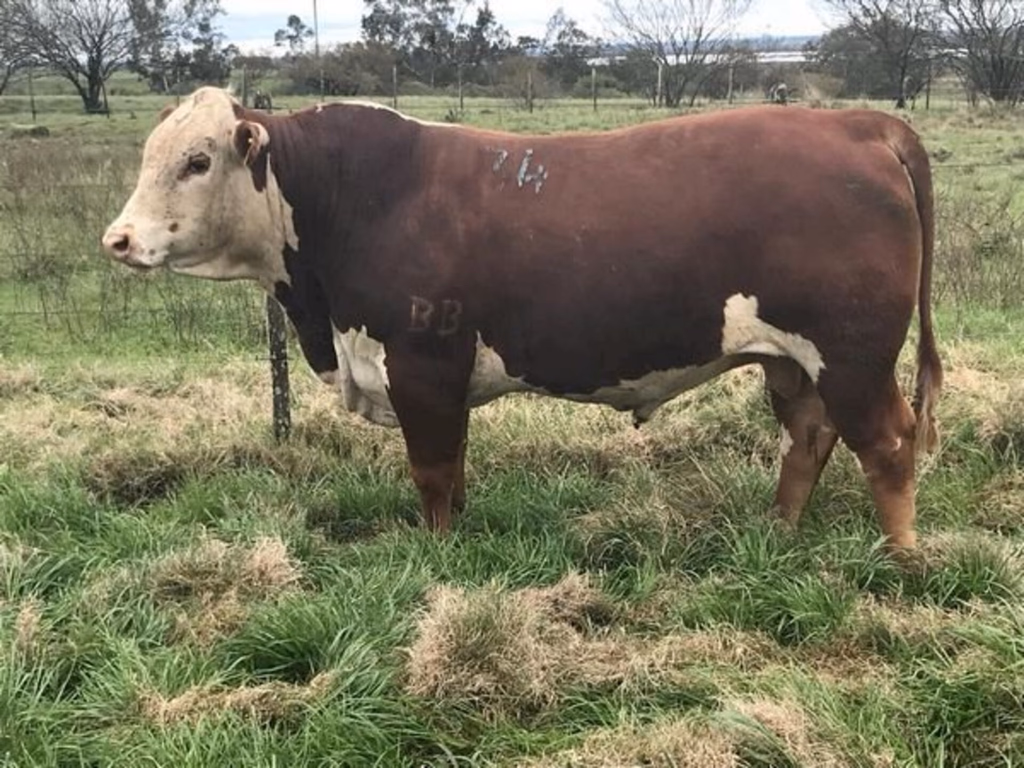 DEP’s Genômicas fazem a diferença na escolha dos reprodutores