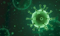 Município realiza mais de 300 coletas de PSA