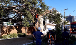 Prefeitura realiza coleta de lixo eletrônico nesta sexta