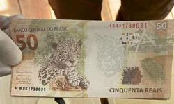 Prefeitura pede ações para coibir entrada ilegal pela Ponte