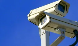 Universidade de Stanford oferece 33 cursos gratuitos para fazer online