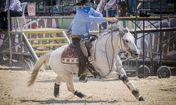 Rédeas de Ouro apresenta vencedores do ano na modalidade
