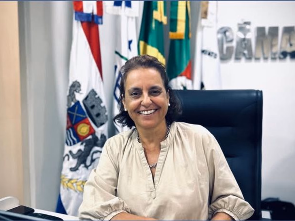 Frentes parlamentares criadas em 2025 têm desempenhos distintos na Câmara