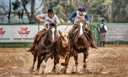 Cerimônia celebra 60 anos da ABHB e entrega do Oscar das duas raças