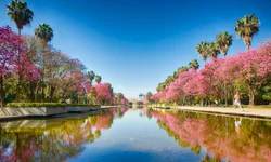 Lázaro Barbosa é preso após vinte dias de buscas