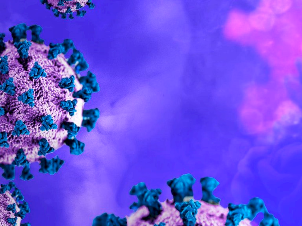 Nova variante é descoberta na França