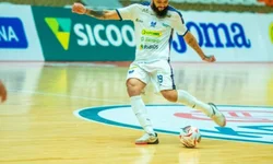 Idoso morre após ataque de cães