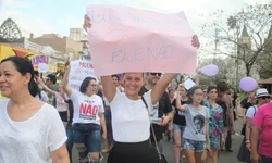 Perfil dos candidatos a deputado estadual no RS permanece inalterado