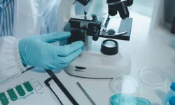 Senac Uruguaiana abre inscrições para cursos técnicos EaD