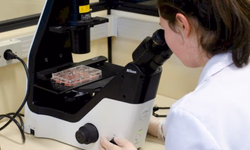 Ainda não há previsão sobre volta das aulas presenciais no RS