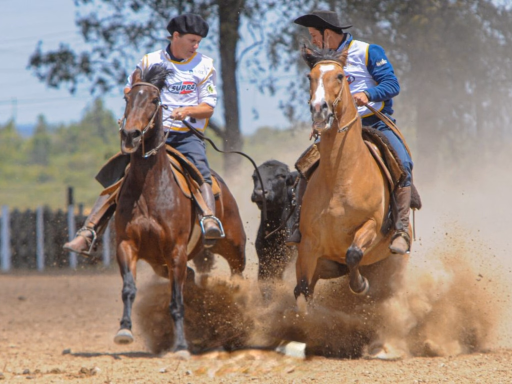 Credenciadoras ao Freio de Ouro 2023 já agitam calendário da raça Crioula