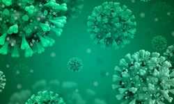 Confirmado mais um caso de dengue em Uruguaiana